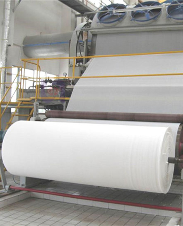 Paper & Pulp